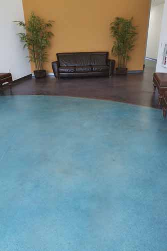 Two trees sit beside a leather couch on a concrete stained floor with blue and purple stain.
